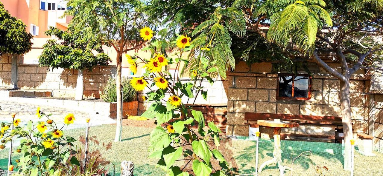Willa Casa Del Sur, En El Sur De Tenerife Granadilla De Abona Zewnętrze zdjęcie